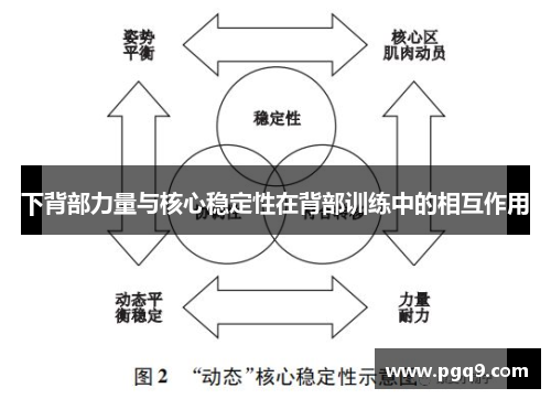 下背部力量与核心稳定性在背部训练中的相互作用